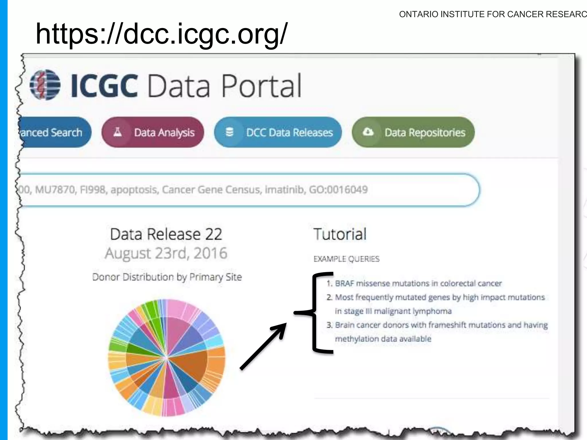 ONTARIO INSTITUTE FOR CANCER RESEARC
ICGC needs to deal with different
kinds of users!
19
Biologists/Clinicians:
Web interface to processed data, providing:
Affected gene lists with consequences
Impact on pathways
Power users:
Application Programing Interface (API) to get to data
Availability and Integration with cloud resources
 