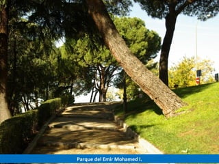 Parque del Emir Mohamed I.
 