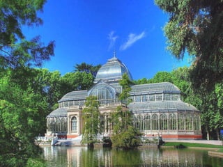 Lago del Palacio de Cristal En el lago,  a los pies del Palacio de Cristal  (existe una escalera que se sumerge dentro de él),   se pueden encontrar varios ejemplares del  Ciprés de los pantanos  con la particularidad que tienen sus raíces y parte del tronco sumergido. El edificio está rodeado de Castaños de Indias  de envergadura considerable que acrecientan esa atmósfera de romanticismo de principios de siglo. 