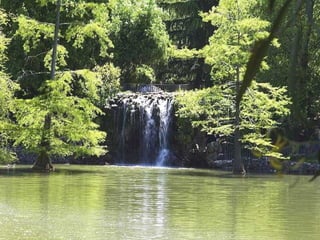 MONTAÑA DE LOS GATOS La Montaña de los Gatos, Montaña Rusa o Montaña de los Osos, por ser estos los animales que allí se encontraban. El funcionamiento y la labor de los operarios se realizaba a través del Reglamento de 1816 y la manutención corría a cargo del Bolsillo Secreto de Su Majestad,  partida económica que disfrutaban y distribuían los monarcas a su antojo y así se recogía en los asientos contables de la Casa Real.  Parece ser que la fauna en cautividad aumentó mucho, como se deduce de la relación existente de los envíos al Museo de Ciencias de los animales que morían donde eran disecados y expuestos. 