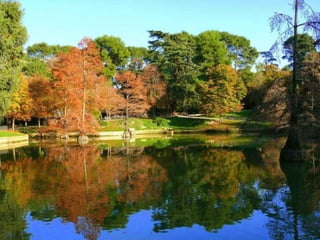 A la vera del Palacio de Cristal  se abren paso, entre una exuberante vegetación,  los Jardines Orientales,  cuyo origen se remonta al comienzo del reinado de Alfonso XII. Una ría los recorre, y sobre ella, pequeños puentes de madera la cruzan, queriendo recrear los jardines de los exóticos paises orientales. 