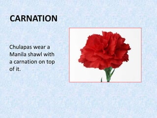 CARNATION
Chulapas wear a
Manila shawl with
a carnation on top
of it.
 