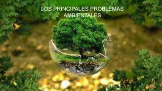 LOS PRINCIPALES PROBLEMAS
AMBIENTALES
 