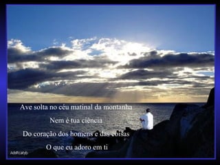 Ave solta no céu matinal da montanha
Nem é tua ciência
Do coração dos homens e das coisas
O que eu adoro em ti
 