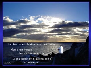Em teu flanco aberto como uma ferida
Nem a tua pureza.
Nem a tua impureza
O que adoro em ti lastima-me e
consola-me
 