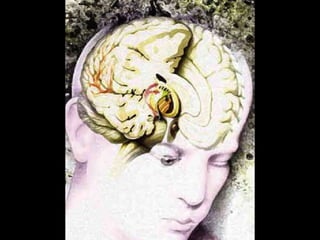 Mads & Saints -  Oscar Wilde