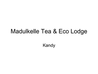 Madulkelle Tea & Eco Lodge

          Kandy
 