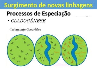 Surgimento de novas linhagens
• CLADOGÊNESE
- Isolamento Geográfico
 