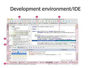 Development environment/IDE
 