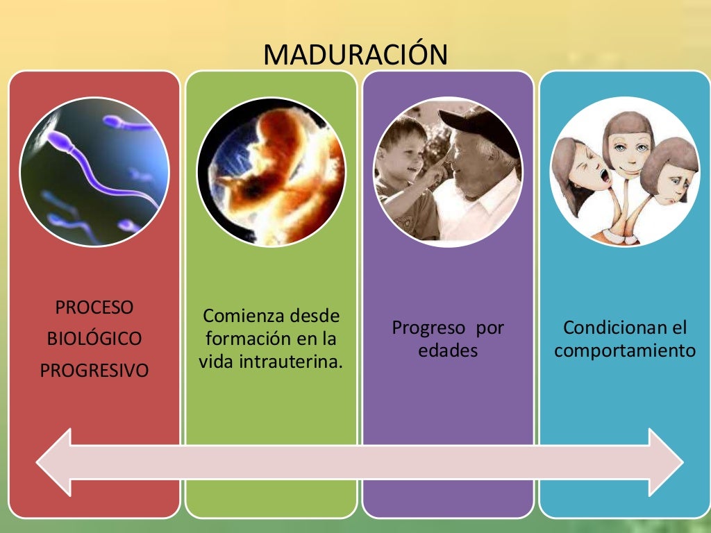 Maduración 1
