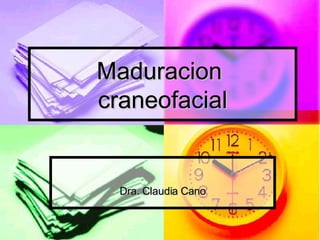 Maduracion  craneofacial Dra. Claudia Cano 