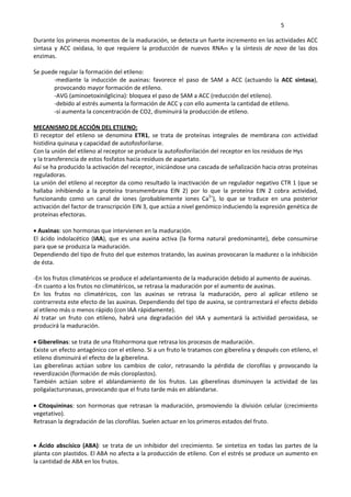     5 
Durante los primeros momentos de la maduración, se detecta un fuerte incremento en las actividades ACC 
sintasa  y  ACC  oxidasa,  lo  que  requiere  la  producción  de  nuevos  RNAm  y  la  síntesis  de  novo  de  las  dos 
enzimas. 
 
Se puede regular la formación del etileno:  
‐mediante  la  inducción  de  auxinas:  favorece  el  paso  de  SAM  a  ACC  (actuando  la  ACC  sintasa), 
provocando mayor formación de etileno. 
 ‐AVG (aminoetoxinilglicina): bloquea el paso de SAM a ACC (reducción del etileno). 
‐debido al estrés aumenta la formación de ACC y con ello aumenta la cantidad de etileno. 
‐si aumenta la concentración de CO2, disminuirá la producción de etileno. 
 
MECANISMO DE ACCIÓN DEL ETILENO: 
El  receptor  del  etileno  se  denomina  ETR1,  se  trata  de  proteínas  integrales  de  membrana  con  actividad 
histidina quinasa y capacidad de autofosforilarse. 
Con la unión del etileno al receptor se produce la autofosforilación del receptor en los residuos de Hys 
y la transferencia de estos fosfatos hacia residuos de aspartato. 
Así se ha producido la activación del receptor, iniciándose una cascada de señalización hacia otras proteínas 
reguladoras. 
La unión del etileno al receptor da como resultado la inactivación de un regulador negativo CTR 1 (que se 
hallaba  inhibiendo  a  la  proteína  transmembrana  EIN  2)  por  lo  que  la  proteína  EIN  2  cobra  actividad, 
funcionando  como  un  canal  de  iones  (probablemente  iones  Ca2+
),  lo  que  se  traduce  en  una  posterior 
activación del factor de transcripción EIN 3, que actúa a nivel genómico induciendo la expresión genética de 
proteínas efectoras. 
 
 Auxinas: son hormonas que intervienen en la maduración.  
El ácido indolacético (IAA), que es una auxina activa (la forma natural predominante), debe consumirse 
para que se produzca la maduración. 
Dependiendo del tipo de fruto del que estemos tratando, las auxinas provocaran la madurez o la inhibición 
de ésta. 
 
‐En los frutos climatéricos se produce el adelantamiento de la maduración debido al aumento de auxinas. 
‐En cuanto a los frutos no climatéricos, se retrasa la maduración por el aumento de auxinas.  
En  los  frutos  no  climatéricos,  con  las  auxinas  se  retrasa  la  maduración,  pero  al  aplicar  etileno  se 
contrarresta este efecto de las auxinas. Dependiendo del tipo de auxina, se contrarrestará el efecto debido 
al etileno más o menos rápido (con IAA rápidamente). 
Al  tratar  un  fruto  con  etileno,  habrá  una  degradación  del  IAA  y  aumentará  la  actividad  peroxidasa,  se 
producirá la maduración. 
 
 Giberelinas: se trata de una fitohormona que retrasa los procesos de maduración. 
Existe un efecto antagónico con el etileno. Si a un fruto le tratamos con giberelina y después con etileno, el 
etileno disminuirá el efecto de la giberelina. 
Las  giberelinas  actúan  sobre  los  cambios  de  color,  retrasando  la  pérdida  de  clorofilas  y  provocando  la 
reverdización (formación de más cloroplastos). 
También  actúan  sobre  el  ablandamiento  de  los  frutos.  Las  giberelinas  disminuyen  la  actividad  de  las 
poligalacturonasas, provocando que el fruto tarde más en ablandarse.  
 
 Citoquininas: son hormonas que retrasan la maduración, promoviendo la división celular (crecimiento 
vegetativo).  
Retrasan la degradación de las clorofilas. Suelen actuar en los primeros estados del fruto. 
 
 
 Ácido abscísico (ABA): se trata de un inhibidor del crecimiento. Se sintetiza en todas las partes de la 
planta con plastidos. El ABA no afecta a la producción de etileno. Con el estrés se produce un aumento en 
la cantidad de ABA en los frutos. 
 