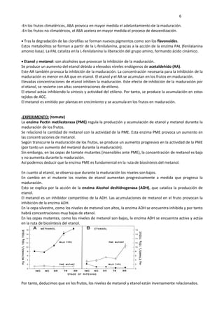     6 
‐En los frutos climatéricos, ABA provoca en mayor medida el adelantamiento de la maduración. 
‐En los frutos no climatéricos, el ABA acelera en mayor medida el proceso de desverdización.  
 
 Tras la degradación de las clorofilas se forman nuevos pigmentos como son los flavonoides. 
Estos metabolitos se forman a partir de la L‐fenilalanina, gracias a la acción de la enzima PAL (fenilalanina 
amonio liasa). La PAL cataliza en la L‐fenilalanina la liberación del grupo amino, formando ácido cinámico.  
 
 Etanol y metanol: son alcoholes que provocan la inhibición de la maduración.  
Se produce un aumento del etanol debido a elevados niveles endógenos de acetaldehído (AA). 
Este AA también provoca la inhibición de la maduración. La concentración necesaria para la inhibición de la 
maduración es menor en AA que en etanol. El etanol y el AA se acumulan en los frutos en maduración. 
Elevadas concentraciones de etanol inhiben la maduración. Este efecto de inhibición de la maduración por 
el etanol, se revierte con altas concentraciones de etileno. 
El etanol actúa inhibiendo la síntesis y actividad del etileno. Por tanto, se produce la acumulación en estos 
tejidos de ACC. 
El metanol es emitido por plantas en crecimiento y se acumula en los frutos en maduración. 
 
 
‐EXPERIMENTO: (tomate) 
La enzima Pectin metilesterasa (PME) regula la producción y acumulación de etanol y metanol durante la 
maduración de los frutos. 
Se relacionó la cantidad de metanol con la actividad de la PME. Esta enzima PME provoca un aumento en 
las concentraciones de metanol.  
Según transcurre la maduración de los frutos, se produce un aumento progresivo en la actividad de la PME 
(por tanto un aumento del metanol durante la maduración).  
Sin embargo, en las cepas de tomate mutantes (insensibles ante PME), la concentración de metanol es baja 
y no aumenta durante la maduración. 
Así podemos deducir que la enzima PME es fundamental en la ruta de biosíntesis del metanol.  
 
En cuanto al etanol, se observa que durante la maduración los niveles son bajos. 
En  cambio  en  el  mutante  los  niveles  de  etanol  aumentan  progresivamente  a  medida  que  progresa  la 
maduración. 
Esto se explica por la acción de la enzima Alcohol deshidrogenasa (ADH), que cataliza la producción de 
etanol.   
El metanol es un inhibidor competitivo de la ADH. Las acumulaciones de metanol en el fruto provocan la 
inhibición de la enzima ADH. 
En la cepa silvestre, como los niveles de metanol son altos, la enzima ADH se encuentra inhibida y por tanto 
habrá concentraciones muy bajas de etanol. 
En las cepas mutantes, como los niveles de metanol son bajos, la enzima ADH se encuentra activa y actúa 
en la ruta de biosíntesis del etanol. 
 
 
Por tanto, deducimos que en los frutos, los niveles de metanol y etanol están inversamente relacionados. 
 
 