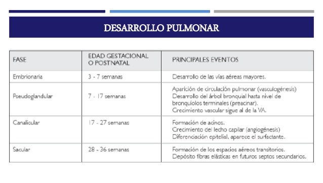 Maduracion pulmonar fetal