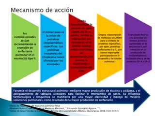 los
corticoesteroides
actúan
incrementando la
secreción de
surfactante
pulmonar en el
neumocito tipo II.
el primer paso es
la unión de
proteínas
citoplasmáticas
específicas. Las
proteínas
receptoras del
citoplasma tienen
afinidad por los
esteroides
Su alta
liposolubilidad le
permite un paso
rápido por la m.
celular. facilita su
interaccion con
receptores en el
ámbito nuclear
induce reacciones
de
desmetilación,incr
ementa la
duplicación y
transcripción del
ADN.
Origina transcripción
de moléculas de ARNm
para la síntesis de
proteínas específicas,
por ejem, proteínas
surfactantes B y C, que
tienen importante
participación en el
desarrollo y la función
pulmonar.
El resultado final es
una actividad de
síntesis proteica
aumentada en el
neumocito II, con
elevación en la
producción de
fosfatidilglicerol,
fosfatidilcolina y de las
proteínas SP-A y SP-B
Efecto de inductores de madurez pulmonar fetal
Abraham Rosas Chávez,* Maritza Mendoza Martínez,** Fernando Escobedo Aguirre,***
Tomás de Jesús Mendoza Martínez****/Revista de Especialidades Médico-Quirúrgicas 2008;13(4):181-5
Favorece el desarrollo estructural pulmonar mediante mayor producción de elastina y colágena, y el
adelgazamiento de tabiques alveolares para facilitar el intercambio de gases. Su influencia
farmacológica y bioquímica se manifiesta por una mayor elasticidad y manejo de mayores
volúmenes pulmonares, como resultado de la mayor producción de surfactante
 
