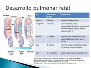 (Desarrollo pulmonar, Dr. Fernando Iñiguez(1), Dr. Ignacio Sánchez(2),
Pediatra Broncopulmonar, 1. Hospital Base de Puerto Montt, 2. Escuela de
Medicina. Pontificia Universidad Católica de Chile)
imagen:http://www.epub.org.br/svol/imagens/surfactante.gif
 