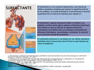 SURFACTANTE El Surfactante es una sustancia lipoproteica; una mezcla de
lípidos y proteínas compleja que tapizan la superficie interna
de los alvéolos. Su acción principal es la de disminuir la tensión
superficial (TS) al nivel de la interfase aire-liquido.(1)
El surfactante o agente tensoactivo debe su nombre a las
palabras «surface active agent» (agente surfactante activo) que
hace énfasis en que se trata de un agente tensoactivo;
actualmente se le define como un complejo componente de
diferentes fosfolípidos, neutrolípidos y proteínas. Es esencial
para la función normal del pulmón(2).
El surfactante pulmonar es secretado por las células alveolares
epiteliales tipo II (neumocitos tipo II) hacia la capa líquida que
cubre el epitelio(3).
1. Parmigianni S, Solari E”Can high frequency ventilation conscript alveolar recruits and encourage re-enlisment?
Pediatrics 1996 Dic 1998 (6P+1):1196–7.
2. Villanueva GD, Fernández MP, Hernáiz AM. Desarrollo del sistemapulmonar y surfactante. En: Insuficiencia
respiratoria neonatal, PAC neonatología 1 libro 3 Intersistemas; 2003: 143-4.
3. Creuwels LAJM, Van Golde LMG, Haagsman HP. The pulmonary surfactant system: Biochemical and clinical
aspects (Review). Lung 1997;175:1-39.
IMAGEN:http://2.bp.blogspot.com/-
9feOpxrSwFo/U7Pmrr_qBEI/AAAAAAAABT0/K02tGIJVb6A/s1600/surfactante+alveolar.JPG
 