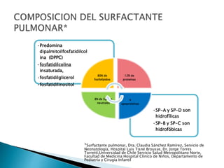 •SP-A y SP-D son
hidrofílicas
•SP-B y SP-C son
hidrofóbicas
•Predomina
dipalmitoilfosfatidilcol
ina (DPPC)
•fosfatidilcolina
insaturada,
•fosfatidilglicerol
•fosfatidilinositol
80% de
fosfolípidos
12% de
proteínas
4
apoproteínas
8% de lípidos
neutrales
*Surfactante pulmonar, Dra. Claudia Sánchez Ramírez, Servicio de
Neonatología, Hospital Luis Tisné Brousse, Dr. Jorge Torres
Torretti,Universidad de Chile Servicio Salud Metropolitano Norte,
Facultad de Medicina Hospital Clínico de Niños, Departamento de
Pediatría y Cirugía Infantil
 