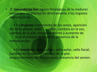 C -Secundarias Son  signos fisiológicos de la madurez sexual que no involucran directamente a los órganos reproductores.      • En  mujeres:  crecimiento de los senos, aparición del vello púbico, vello        axilar, cambios en la voz, cambios en la piel, ensanchamiento y aumento de        la profundidad de la pelvis, presencia de la menstruación.      •  En  hombres:  vello púbico, vello axilar, vello facial, cambios en la voz,        cambios en la piel, ensanchamiento de los hombros, presencia del semen. 