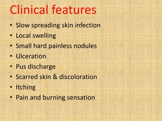 Clinical features
• Slow spreading skin infection
• Local swelling
• Small hard painless nodules
• Ulceration
• Pus discharge
• Scarred skin & discoloration
• Itching
• Pain and burning sensation
 