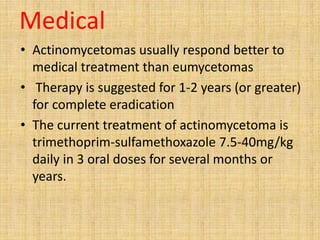Medical
• Actinomycetomas usually respond better to
medical treatment than eumycetomas
• Therapy is suggested for 1-2 years (or greater)
for complete eradication
• The current treatment of actinomycetoma is
trimethoprim-sulfamethoxazole 7.5-40mg/kg
daily in 3 oral doses for several months or
years.
 