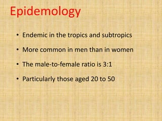 Epidemology
• Endemic in the tropics and subtropics
• More common in men than in women
• The male-to-female ratio is 3:1
• Particularly those aged 20 to 50
 