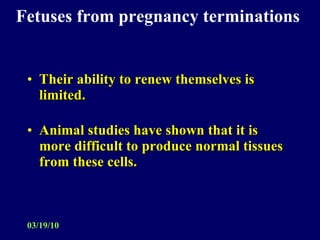 Fetuses from pregnancy terminations   Their ability to renew themselves is limited. Animal studies have shown that it is more difficult to produce normal tissues from these cells. 