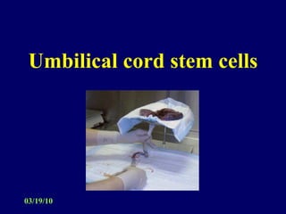 Umbilical cord stem cells 