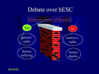 Debate over hESC 