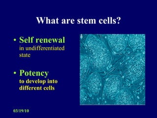 What are stem cells? Self renewal  in undifferentiated state Potency to develop into different cells 
