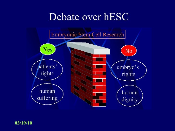Should embryonic stem cell research be allowed