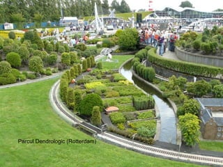 Parcul Dendrologic   ( Rotterdam ) 