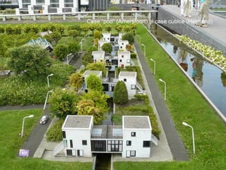 Case  “ pod ”  (Amersfoort) şi case cubice (Helmond) 