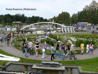 Podul Erasmus (Rotterdam) 