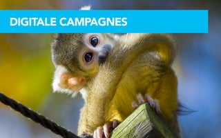 FULL PAGE CAMPAGNES
DIGITALE IMAGE EXAMPLE
 