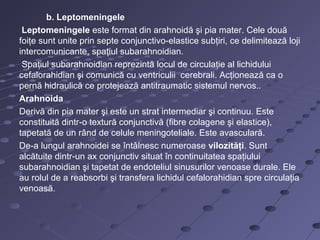 b. Leptomeningele
Leptomeningele este format din arahnoidă şi pia mater. Cele două
foiţe sunt unite prin septe conjunctivo-elastice subţiri, ce delimitează loji
intercomunicante, spaţiul subarahnoidian.
Spaţiul subarahnoidian reprezintă locul de circulaţie al lichidului
cefalorahidian şi comunică cu ventriculii cerebrali. Acţionează ca o
pernă hidraulică ce protejează antitraumatic sistemul nervos..
Arahnoida
Derivă din pia mater şi este un strat intermediar şi continuu. Este
constituită dintr-o textură conjunctivă (fibre colagene şi elastice),
tapetată de un rând de celule meningoteliale. Este avasculară.
De-a lungul arahnoidei se întâlnesc numeroase vilozităţi. Sunt
alcătuite dintr-un ax conjunctiv situat în continuitatea spaţiului
subarahnoidian şi tapetat de endoteliul sinusurilor venoase durale. Ele
au rolul de a reabsorbi şi transfera lichidul cefalorahidian spre circulaţia
venoasă.
 