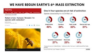 WE HAVE BEGUN EARTH’S 6th MASS EXTINCTION
 