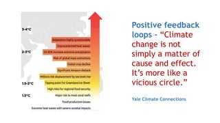 Positive feedback
loops – “Climate
change is not
simply a matter of
cause and effect.
It’s more like a
vicious circle.” 
Yale Climate Connections
 
