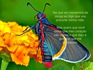 Sei que em momentos de zanga eu digo que vou procurar minha mãe. Mas quero que você saiba que meu coração não pensa o que digo e gostaria que me perdoasse. 