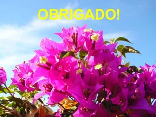 OBRIGADO!
 