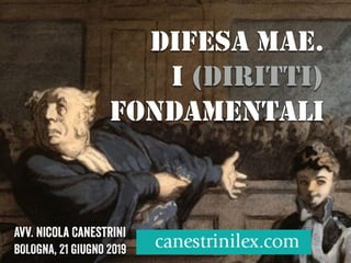 DIFESA MAE.
I (DIRITTI)
FONDAMENTALI
Avv. Nicola Canestrini
BOLOGNA, 21 giugno 2019
 
