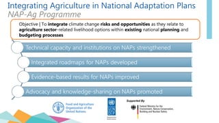 Integrating Agriculture in National Adaptation Plans
NAP-Ag Programme
Objective | To integrate climate change risks and opportunities as they relate to
agriculture sector-related livelihood options within existing national planning and
budgeting processes
Supported By
 