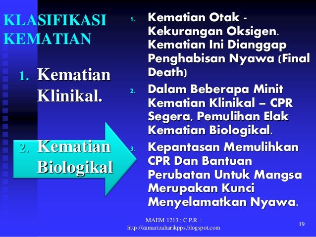 Maem 1213 4.1 cpr