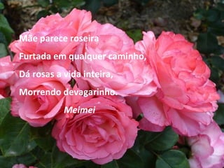 Mãe parece roseira Furtada em qualquer caminho, Dá rosas a vida inteira, Morrendo devagarinho. Meimei 