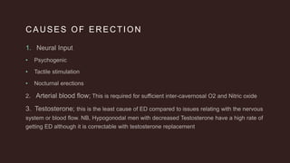 CAUSES OF ERECTION
1.
•
•
•
 