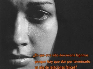 ¿En qué otro sitio derramaría lágrimas porque hay que dar por terminado un año de relaciones felices? 