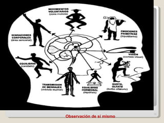 Observaci ón de sí mismo 