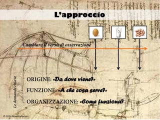 ORIGINE: «Da dove viene?»
FUNZIONE: «A che cosa serve?»
Ricercare interconnessioni
Approccio sistemico-costruttivista
ORGANIZZAZIONE: «Come funziona?
Domandechiave
 