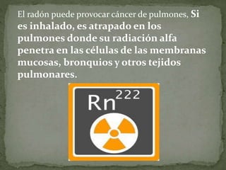 El radón puede provocar cáncer de pulmones, Si
es inhalado, es atrapado en los
pulmones donde su radiación alfa
penetra en las células de las membranas
mucosas, bronquios y otros tejidos
pulmonares.
 