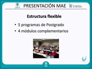 Maestria PresentacióN